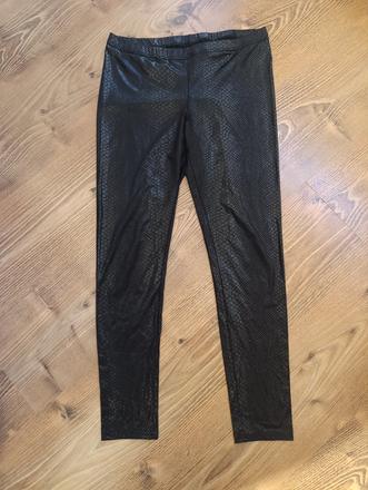 Leskle leginy hadi vzor, m