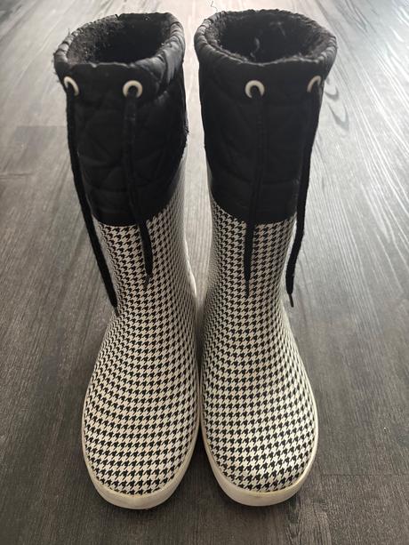 Aigle snehule, aigle,32