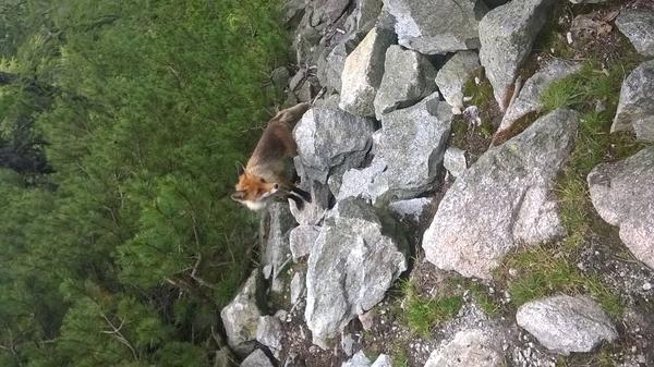 Ži zdravo a športovo