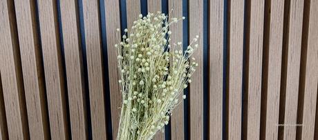 Sušený ľan - biely - 90 gramov, 