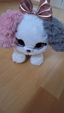 Interaktívny psík, 