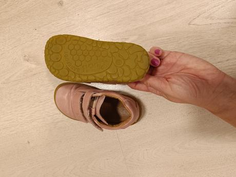 Lurchi v.23, lurchi,23