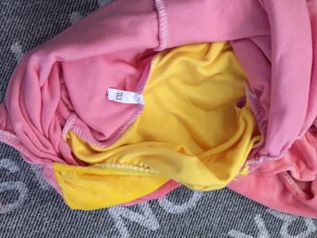 Kostym pre vacsieho psa dinosaurus, 