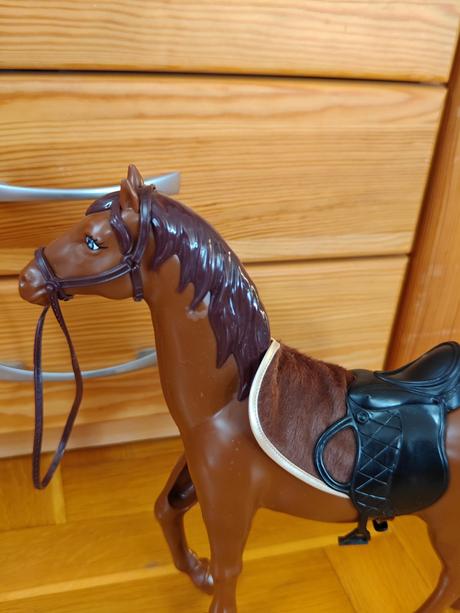 Konik, 