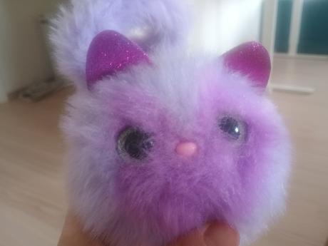 Macka na baterky mnauci a svietia jej oci, 