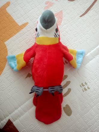 Opakujúci papagáj, 