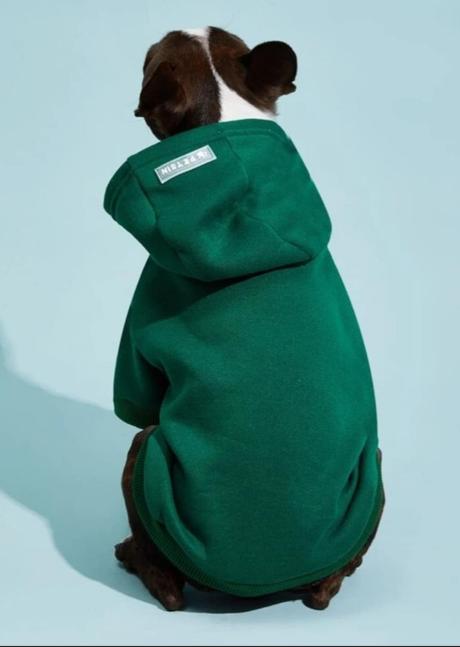 Oblečenie pre psíka,