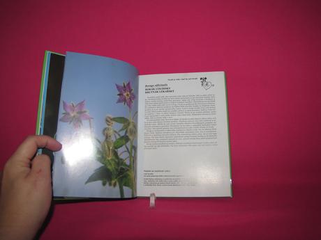 Sprievodca našimi liečivými rastl.-babkine bylinky, 