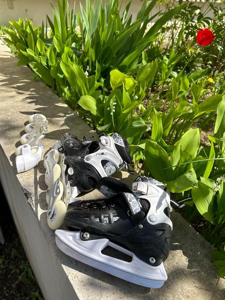 Korcule kolieskové a na lad, 31