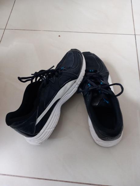 Botasky puma, puma,42