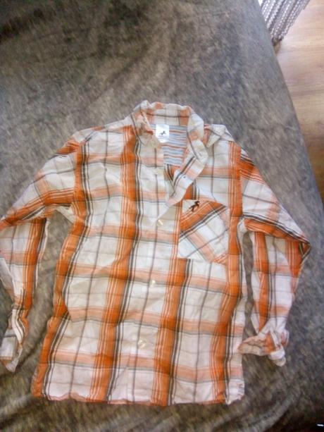 Chlapcenska kosela, palomino,122