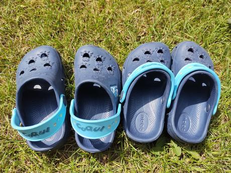 Glogsy coqui žabkové v 25/26, coqui,25