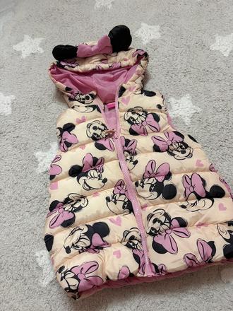 Minnie vesta 116, 116