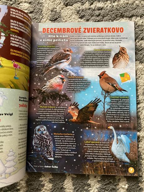 Časopis fifík 9ks plus vianočná knižka 2024/25, 