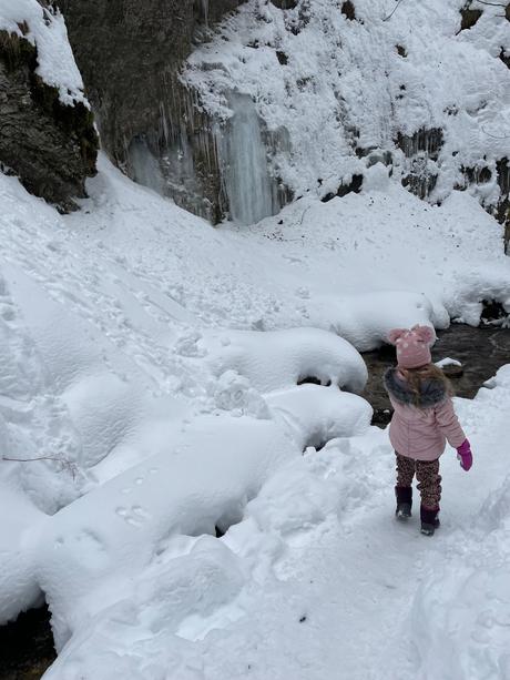 Zimna bunda calvin klein, calvin klein,128