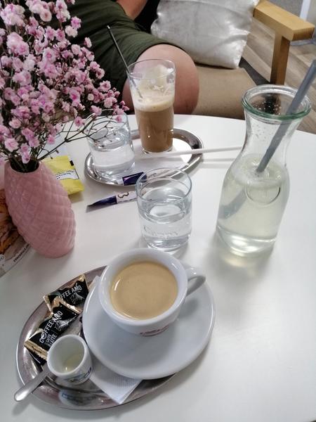 Aká je to kvetinka z kaviarne?