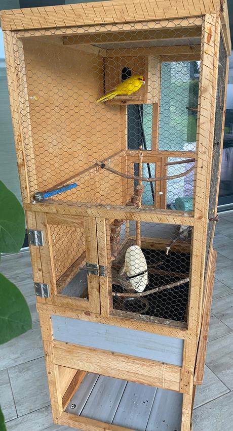 Klietka pre papagáje,