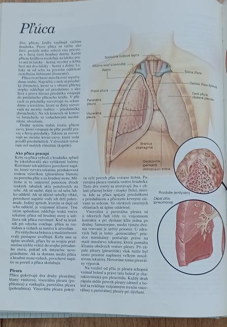Atlas ľudského tela, 