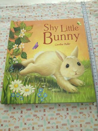 Shy little bunny, 