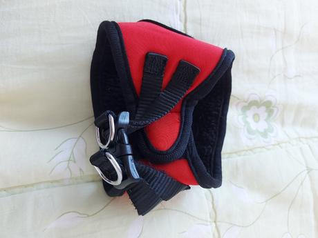 Postroj pre šteniatko xs, 