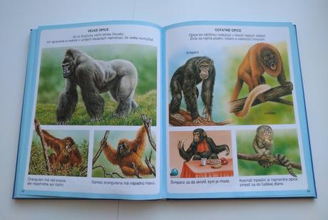 Nové obrázky zvierat, 