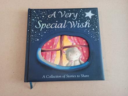 A very special wish, 