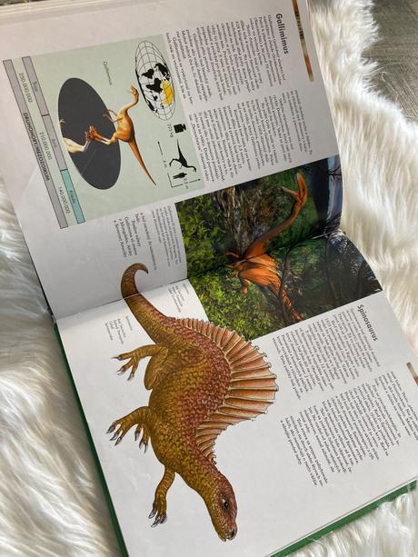 Dinosaury objavy - druhy - vymieranie, 