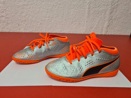 Halovky puma, puma,33