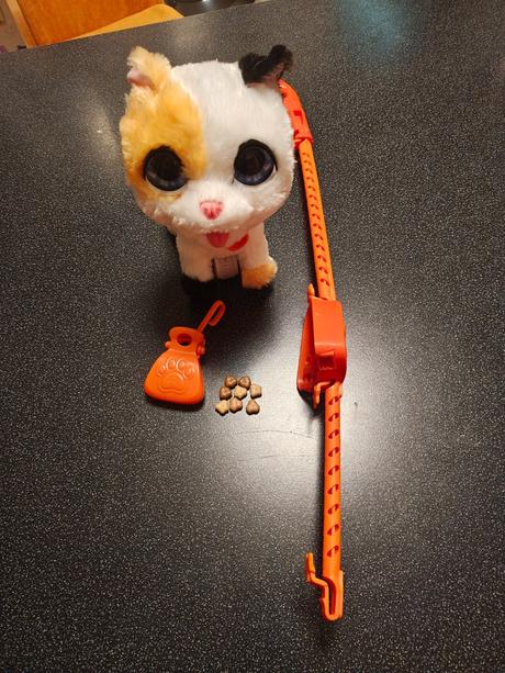 Mačiatko na vodítku, 