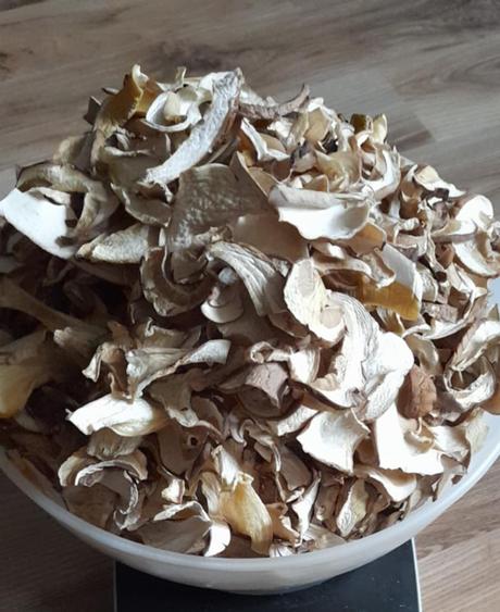Sušené hríby dubové, 