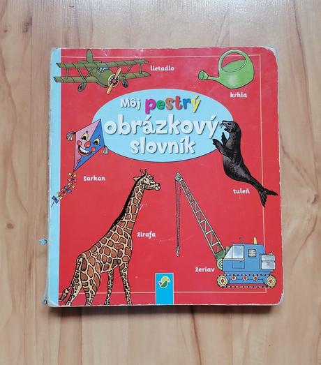 Môj pestrý obrázkový slovník - kniha,
