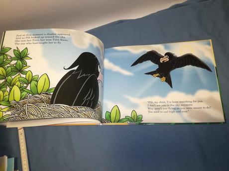 Pili the iwa bird flies again + cd  jul18, 