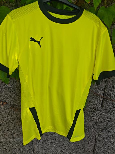 Puma, puma,s