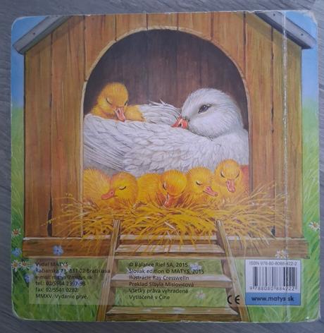 Kde sa skryli myška a kacatko, 