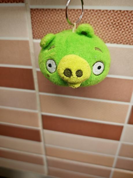 Plašačik klúčenka, 