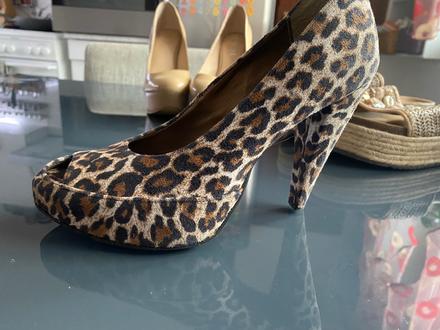 Leopardie lodicky, 37