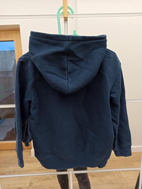 Mikina dinosaurus, h&m,110