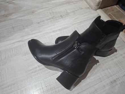 Dámske čižmy, lasocki,37