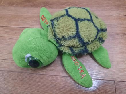 Plyšová korytnačka, 