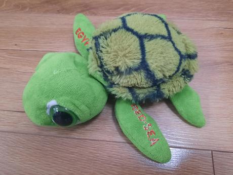 Plyšová korytnačka, 