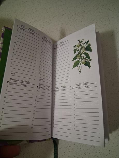 Diár 2026 zošit dekorácia, 