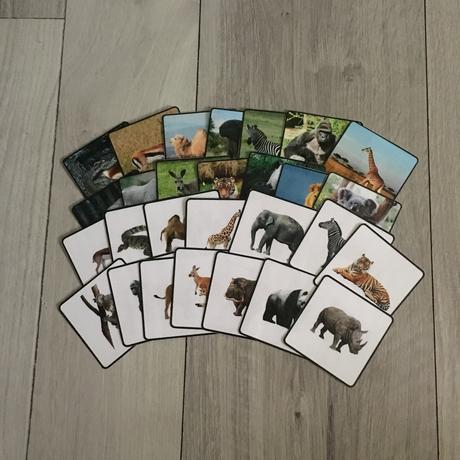 Exotické zvieratá stopy,