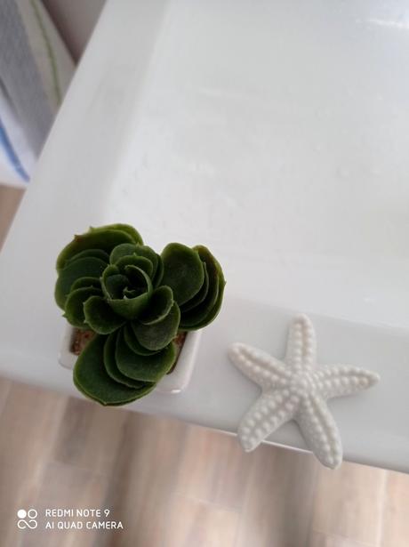 Keramický kvetináč s mini sukulentom+muslicka,