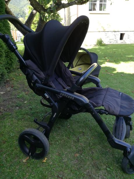 Kočík concord, concord,concord fusion