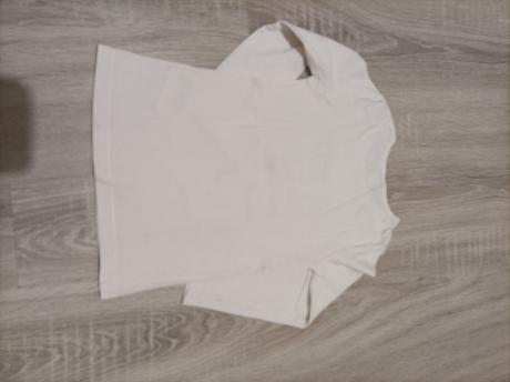 Tričko, dopodopo,110