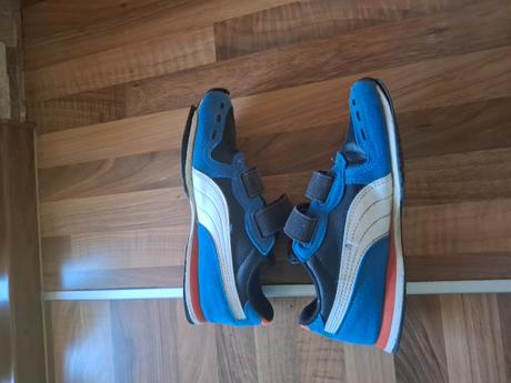 Botasky puma, puma,33