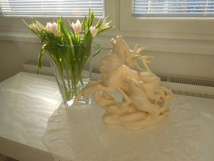 Štvanice / hon na jelena / 50. léta l. lhota, 