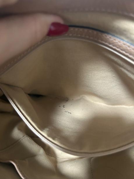 Coccinelle b14 large, coccinelle