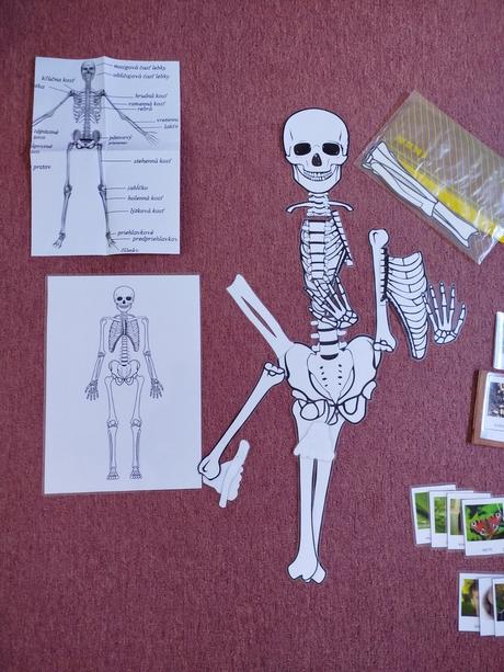 Vzdelavacie montessori aktivity,