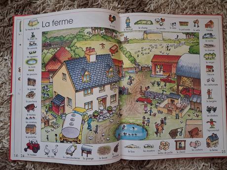 Francúzsky kreslený slovník,